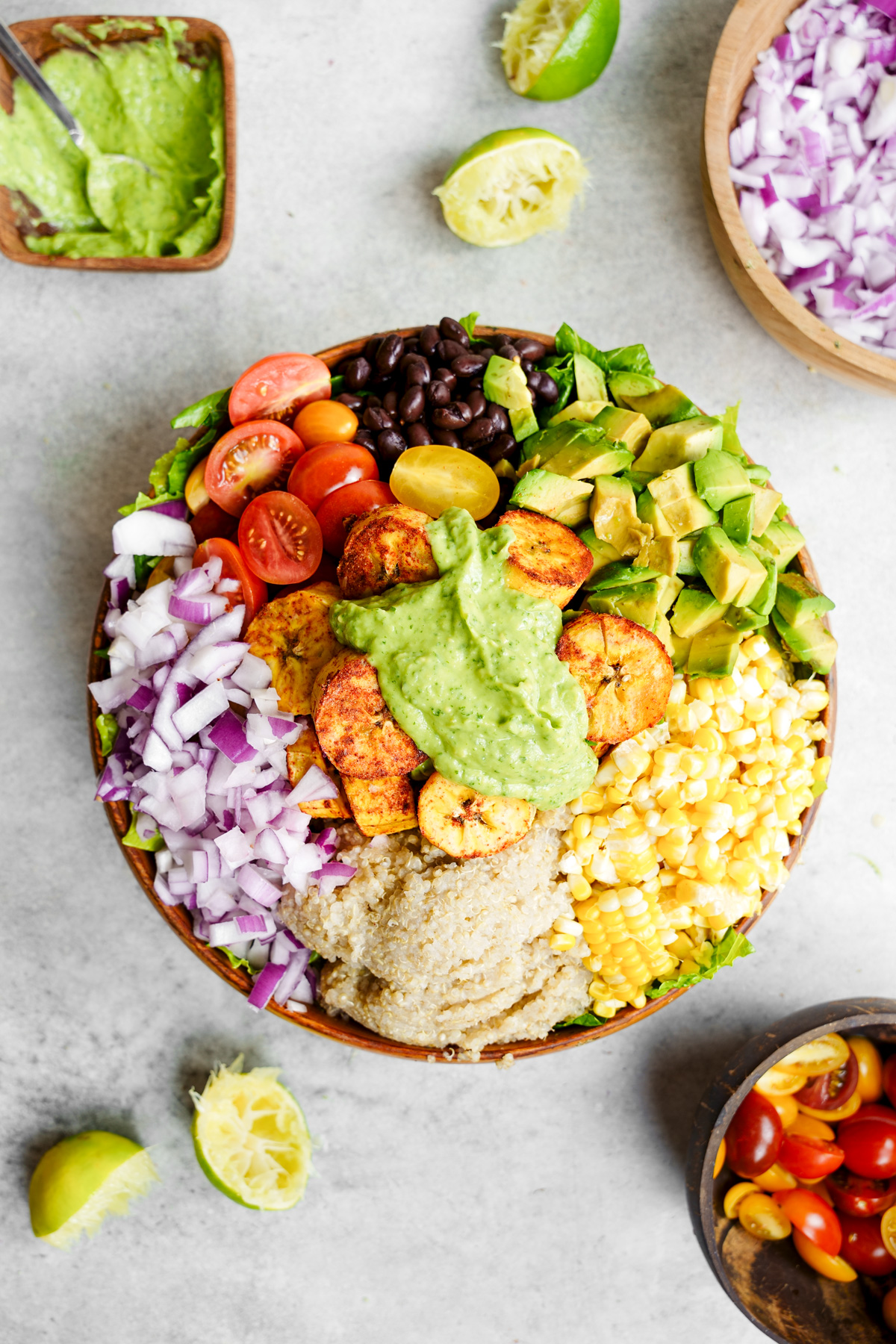 the healthy vegan bowl filled with rainbow vegetables