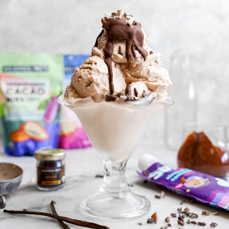 All Ice Vegan Chocolate Protein Ice Cream - The All Natural Vegan