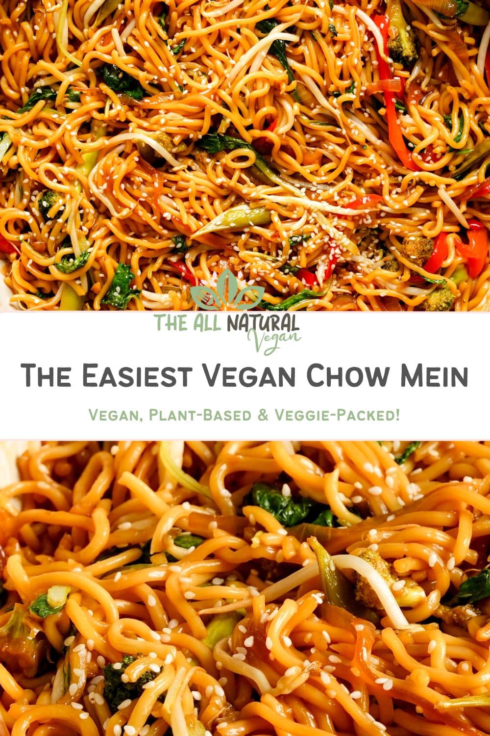 A Pinterest graphic featuring vibrant vegan chow mein noodles tossed with vegetables and sesame seeds. The image includes “The All Natural Vegan” logo and the title text “The Easiest Vegan Chow Mein – Vegan, Plant-Based & Veggie-Packed!” overlaid between two close-up shots of the noodle dish.